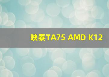 映泰TA75 AMD K12